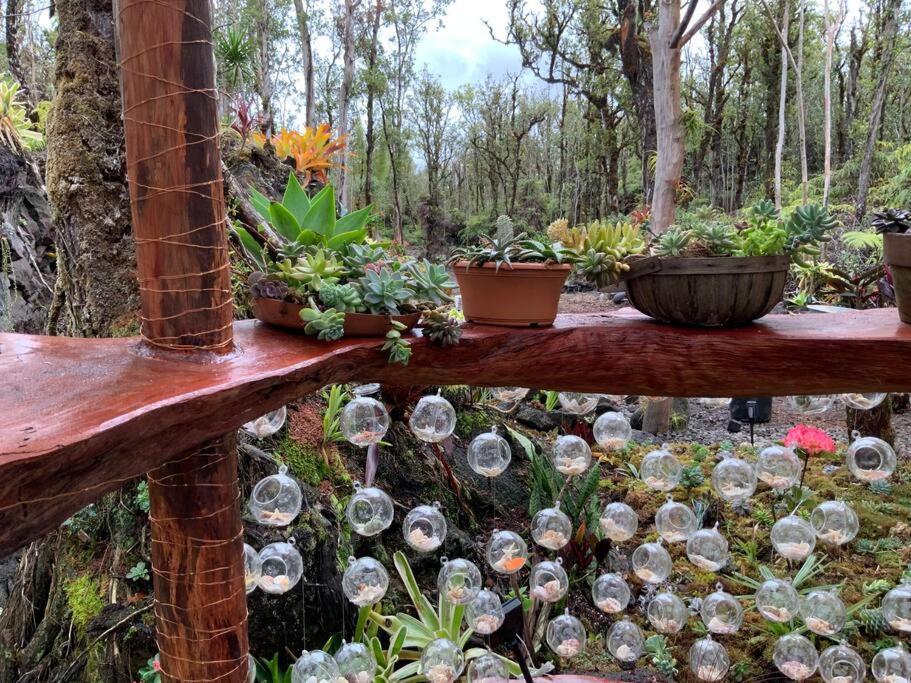 Exotic Garden At Amazing Volcano Fissure * Mountain View