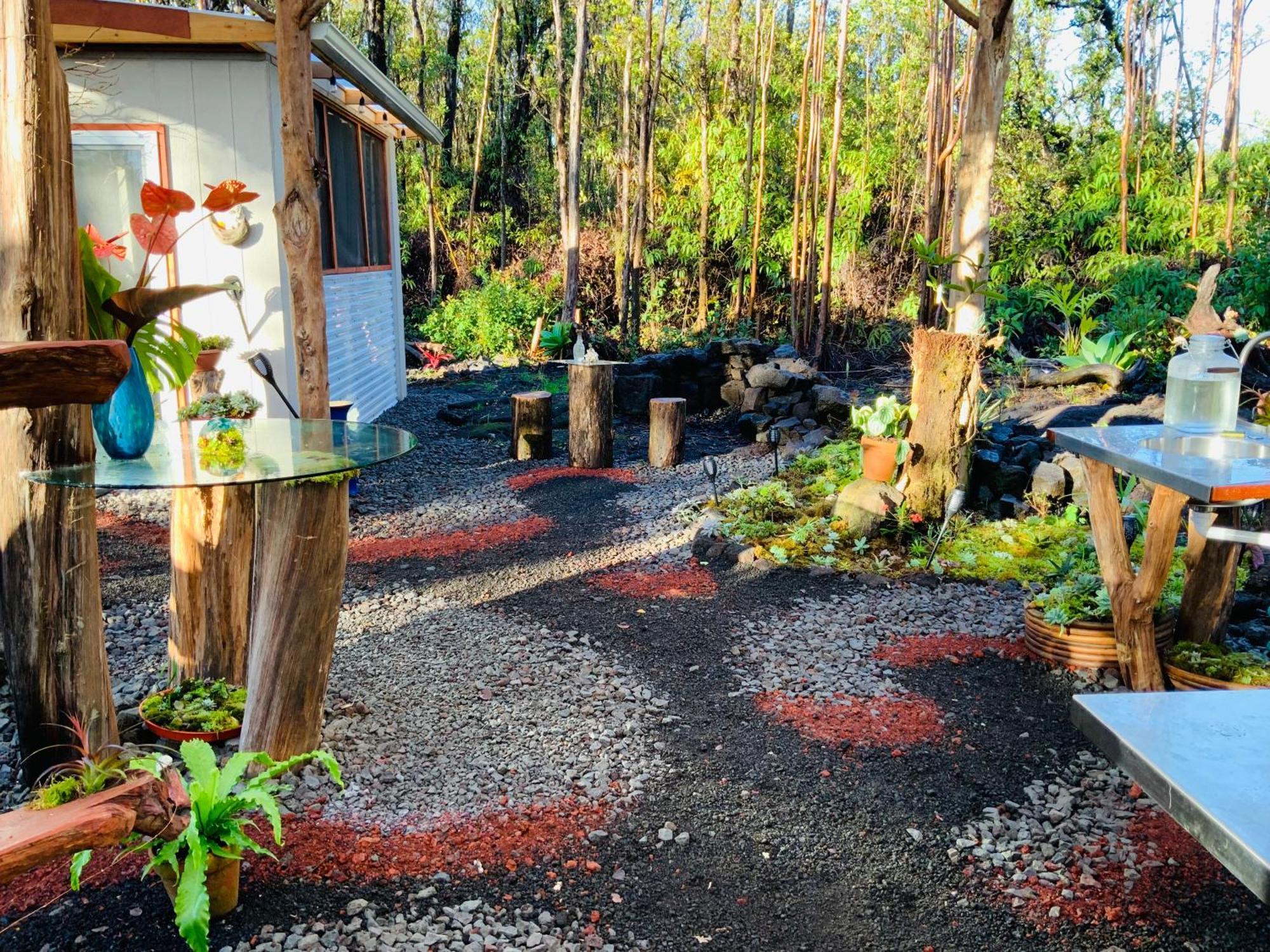 Exotic Garden At Amazing Volcano Fissure Casa de Campo Mountain View