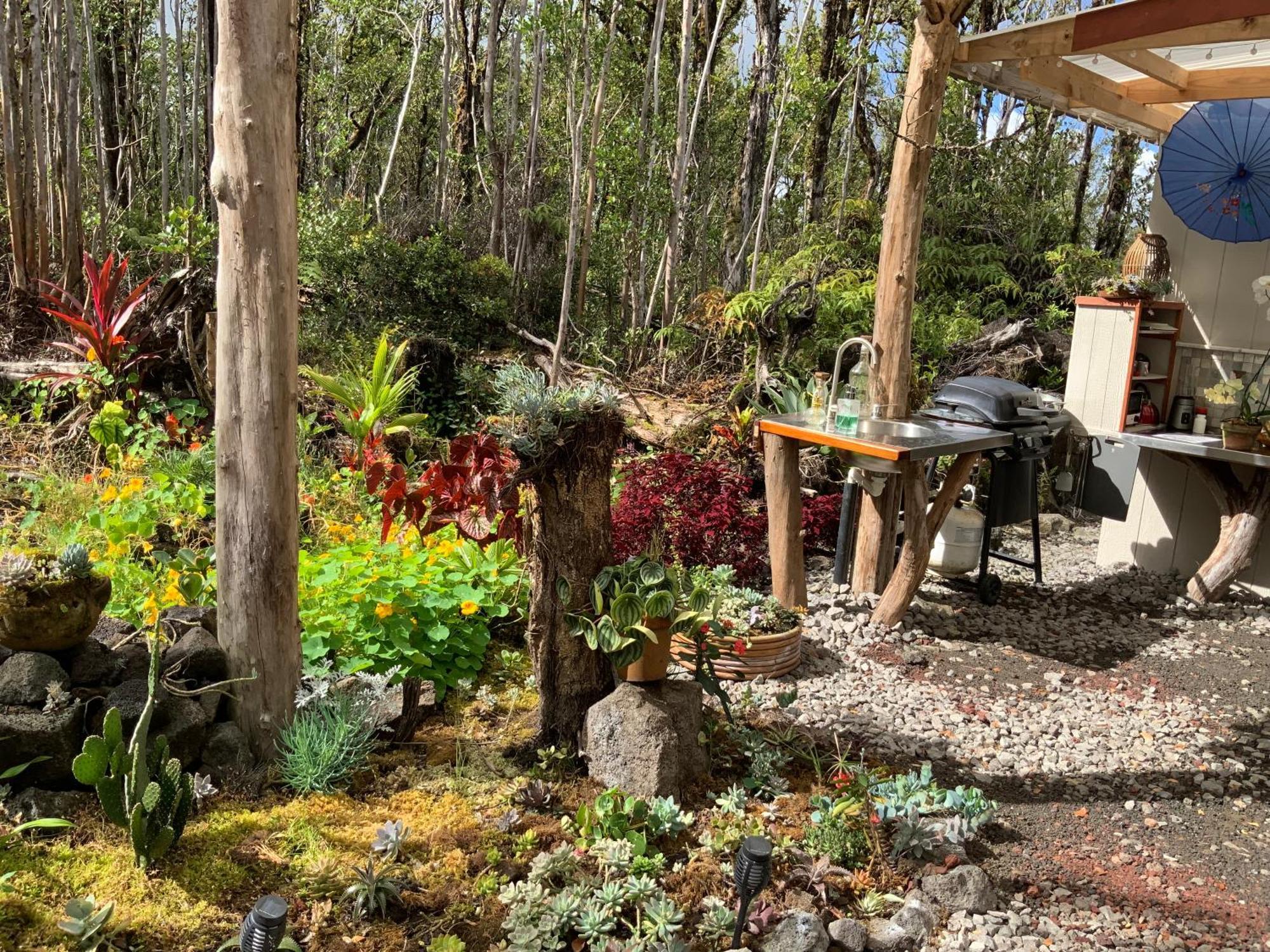 Exotic Garden At Amazing Volcano Fissure Casa de Campo Mountain View