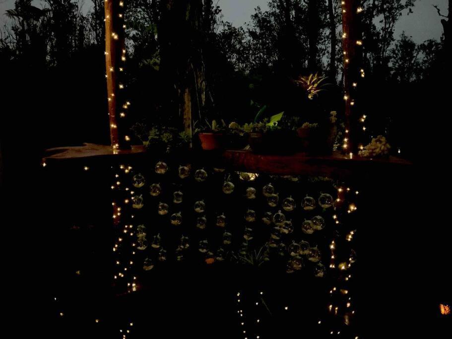 Casa de Campo Exotic Garden At Amazing Volcano Fissure *