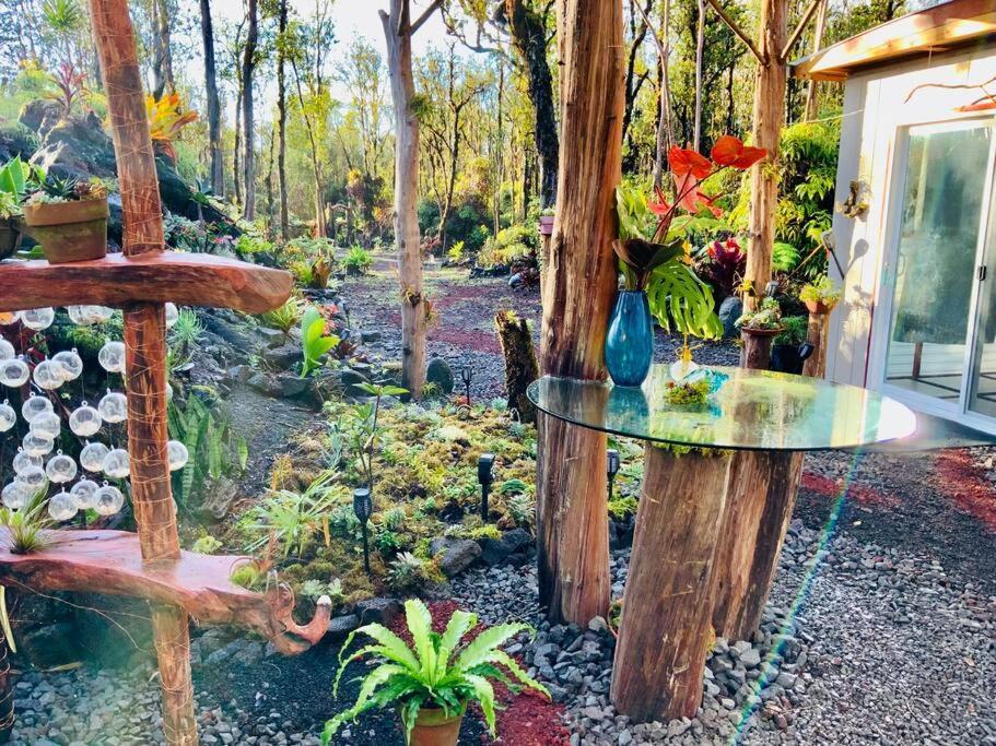 Exotic Garden At Amazing Volcano Fissure *