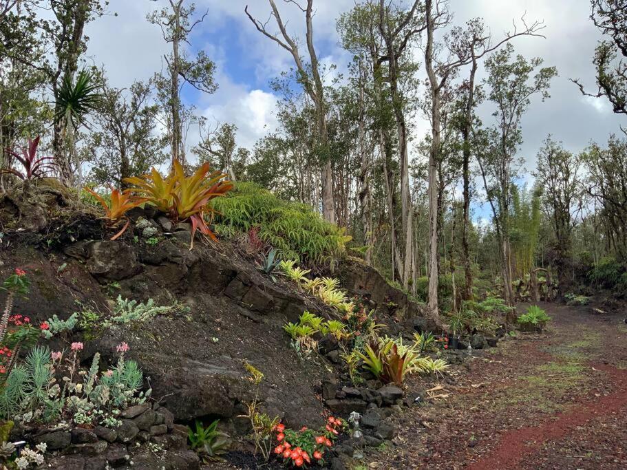 Landhaus Exotic Garden At Amazing Volcano Fissure
