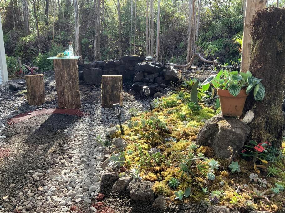 Exotic Garden At Amazing Volcano Fissure Mountain View