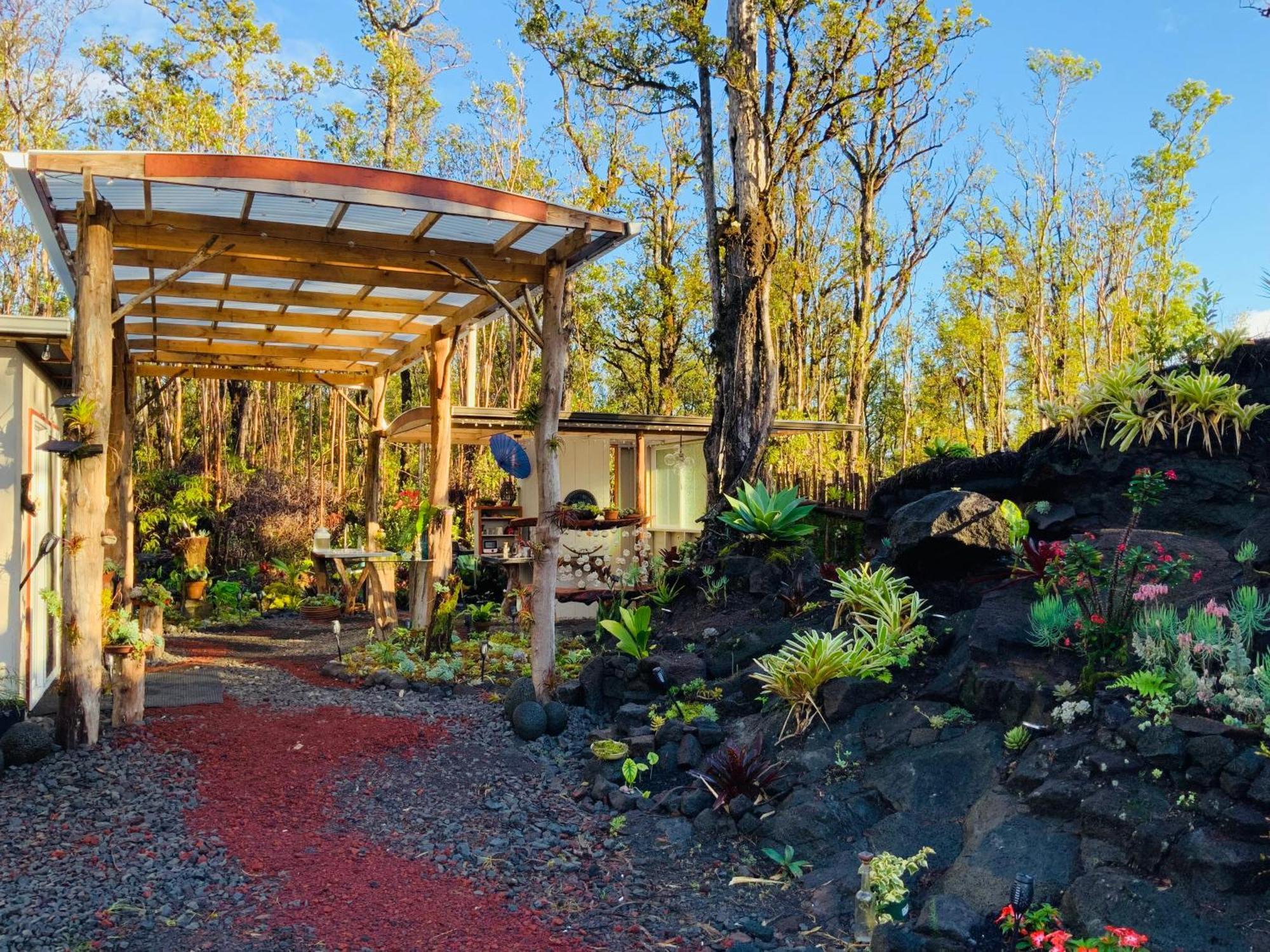 Exotic Garden At Amazing Volcano Fissure *