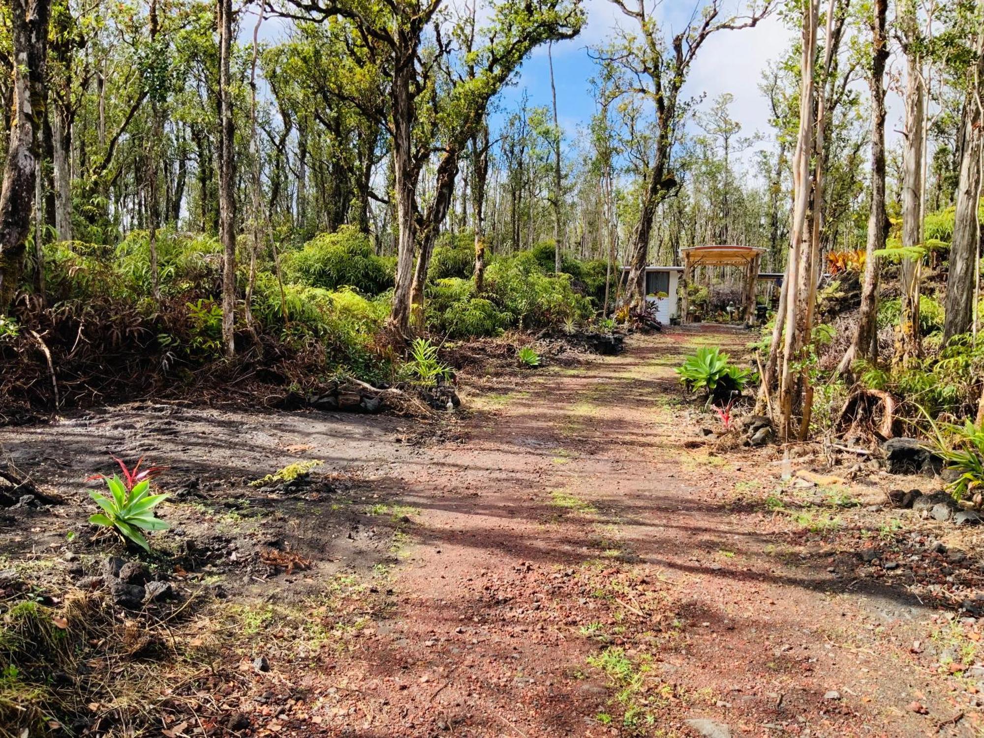 Exotic Garden At Amazing Volcano Fissure Mountain View