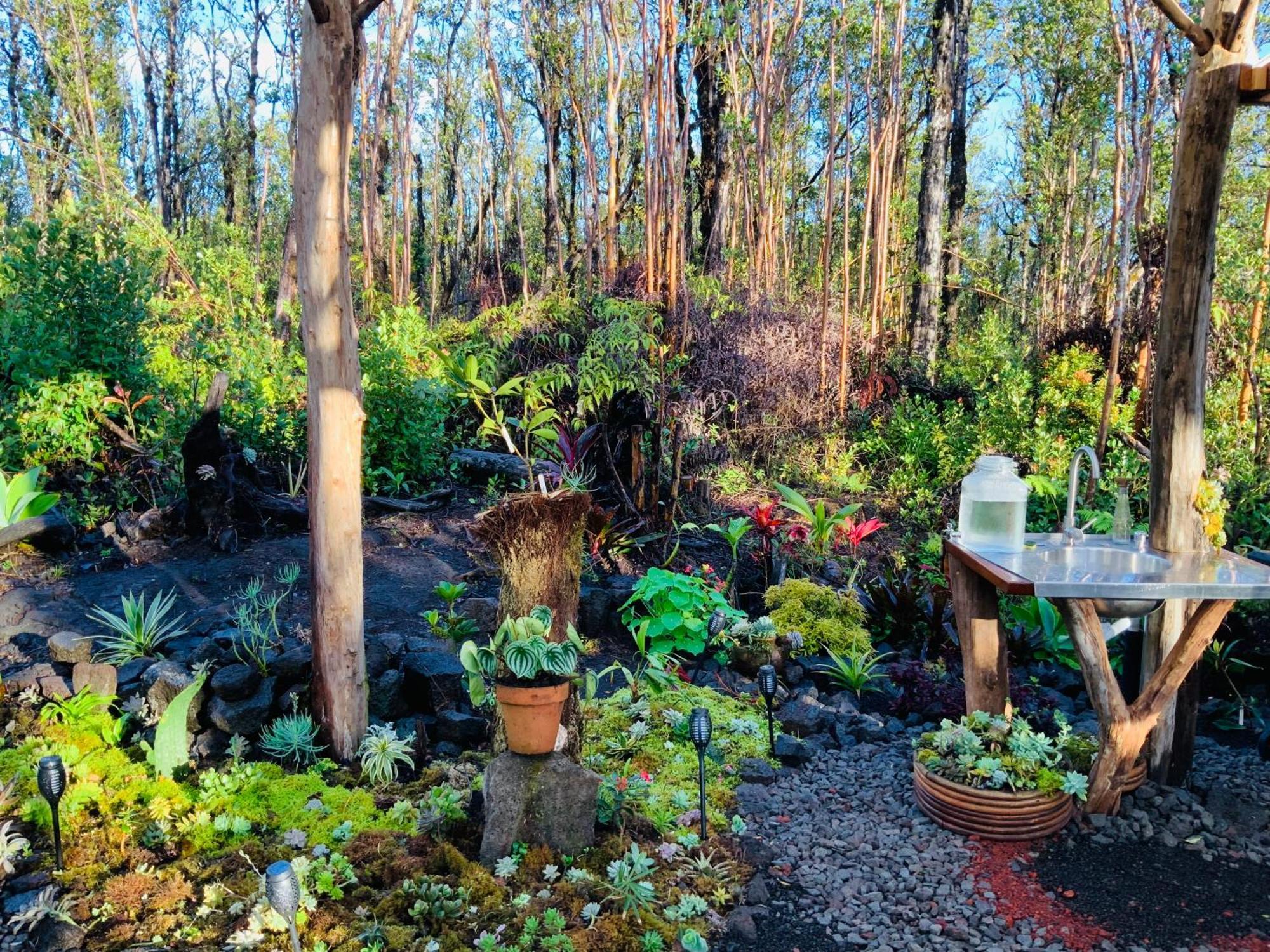 Exotic Garden At Amazing Volcano Fissure