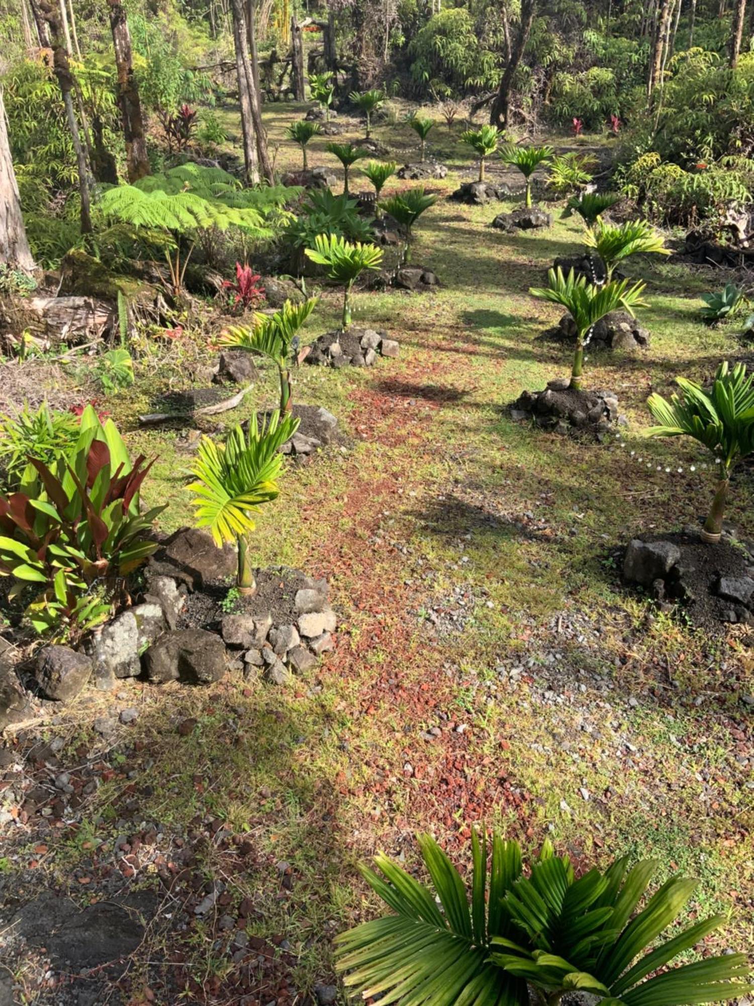 Exotic Garden At Amazing Volcano Fissure Landhaus *