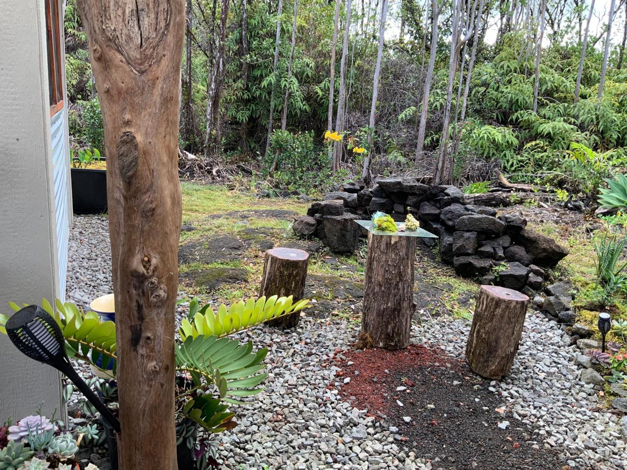 Exotic Garden At Amazing Volcano Fissure Mountain View