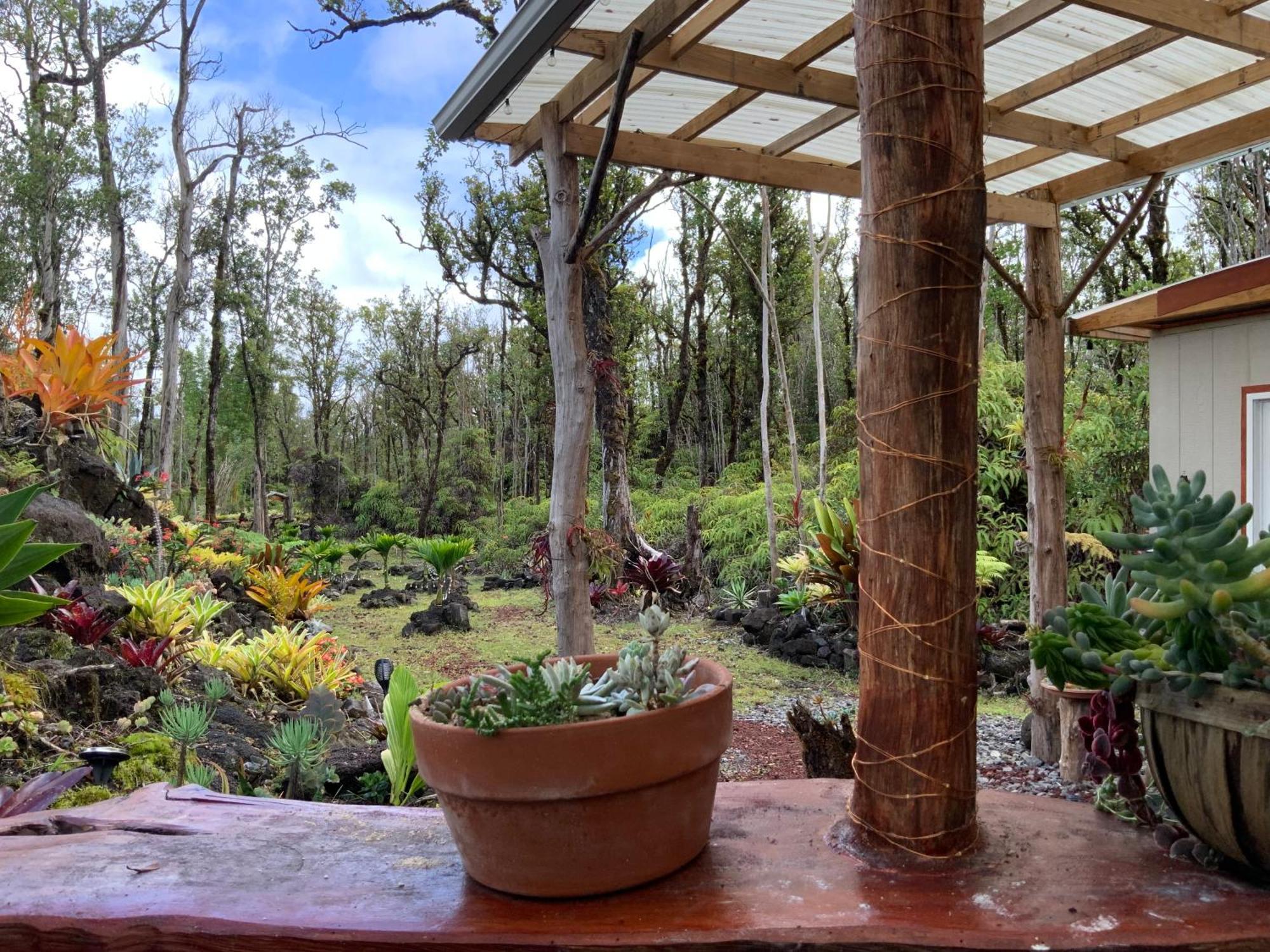 Exotic Garden At Amazing Volcano Fissure Landhaus Mountain View