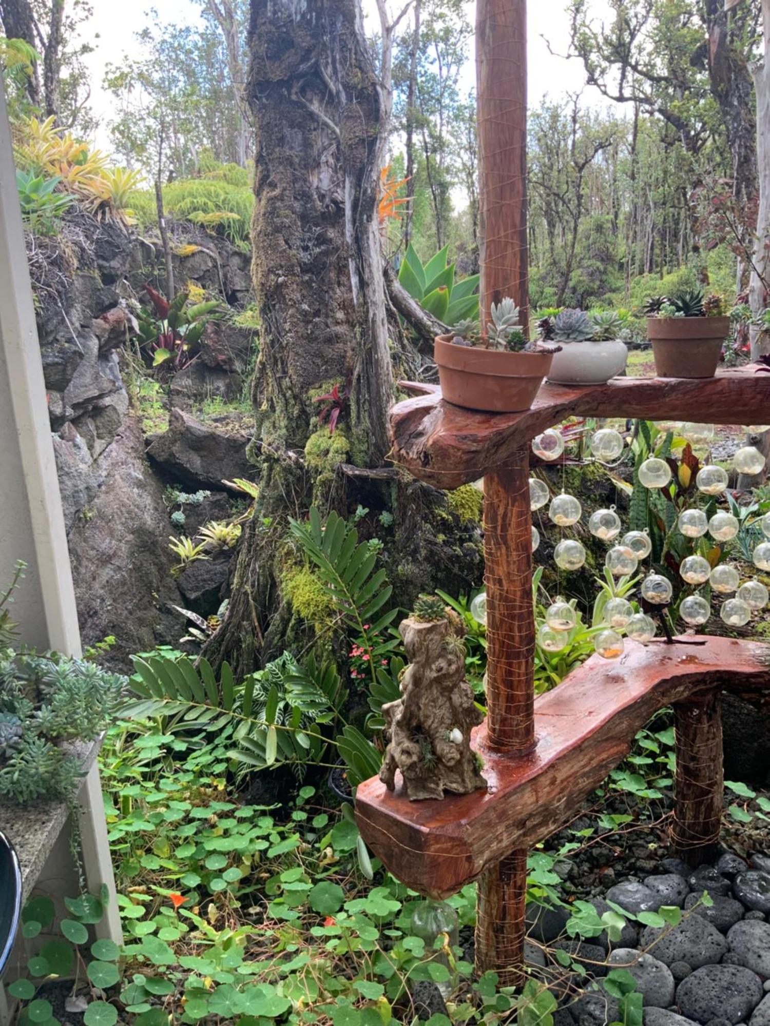 Landhaus Exotic Garden At Amazing Volcano Fissure
