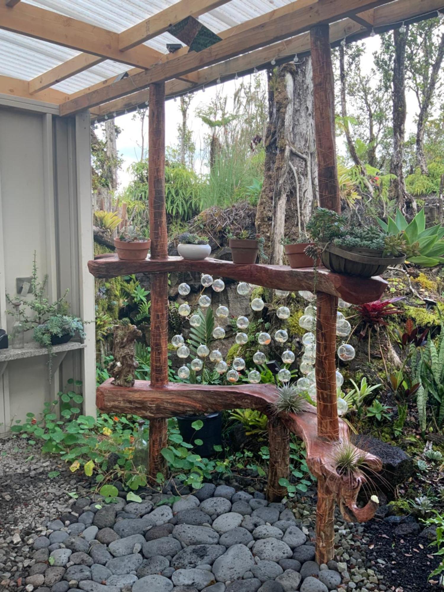Exotic Garden At Amazing Volcano Fissure *