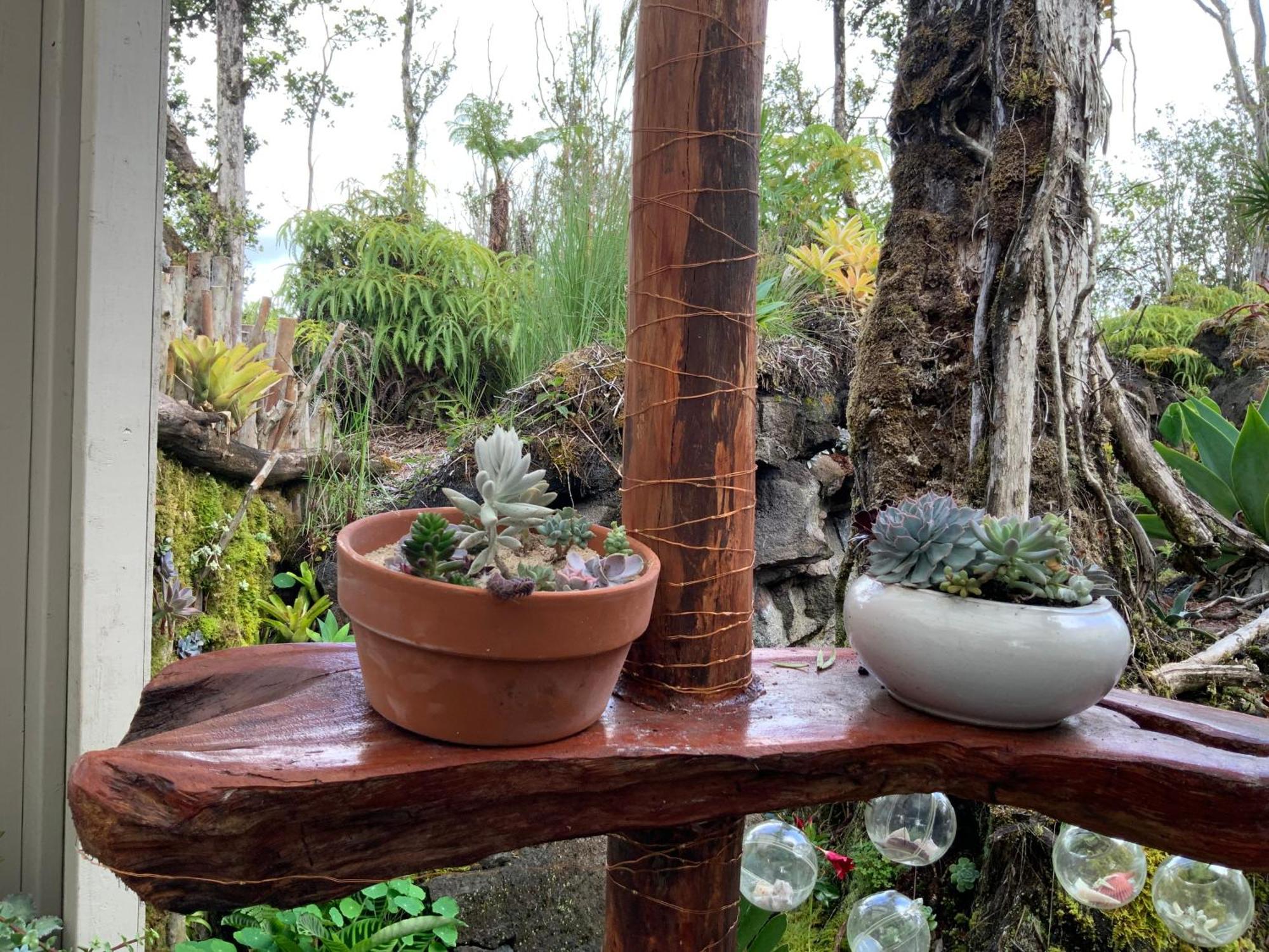 Exotic Garden At Amazing Volcano Fissure