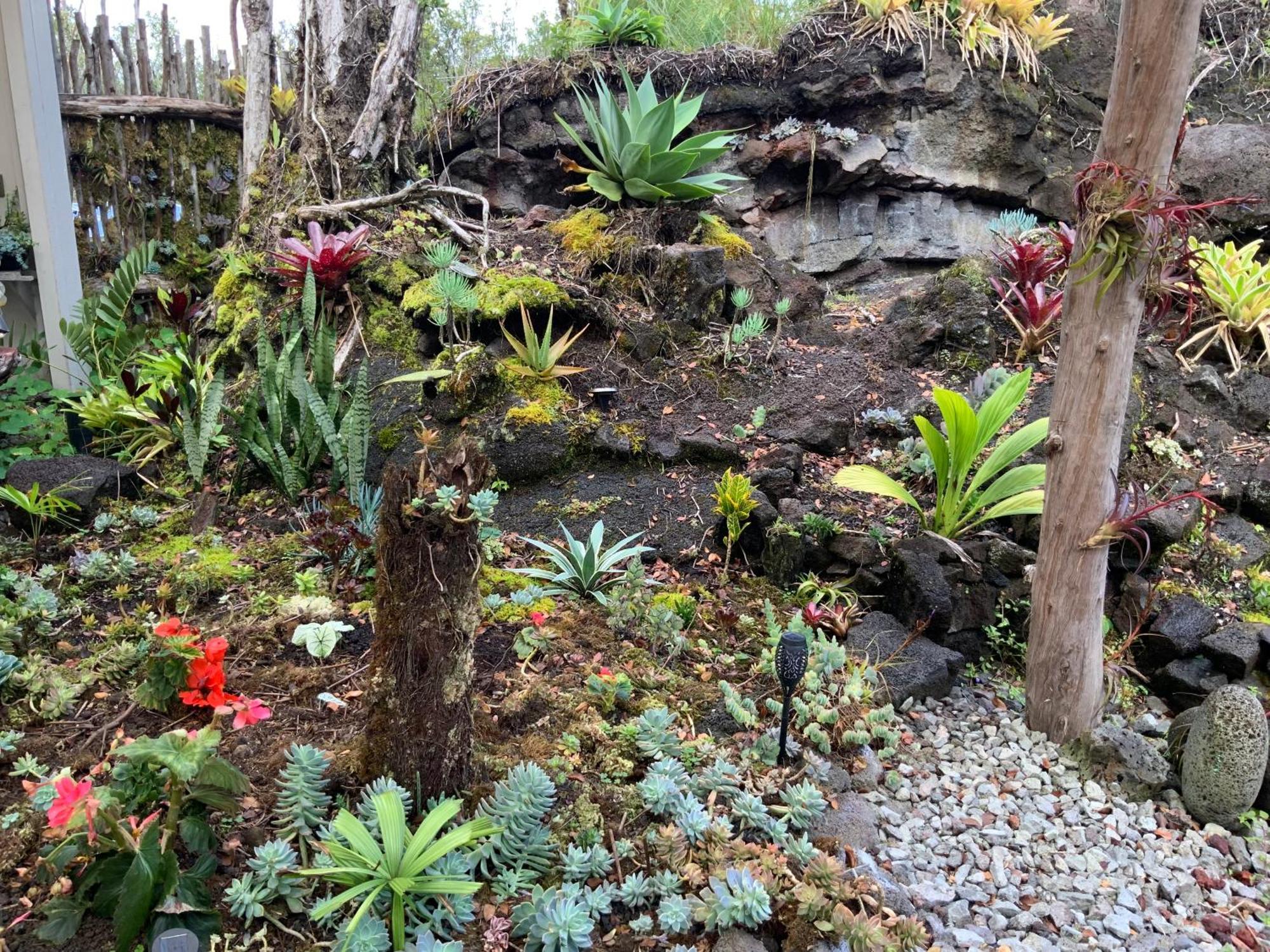 Exotic Garden At Amazing Volcano Fissure * Mountain View