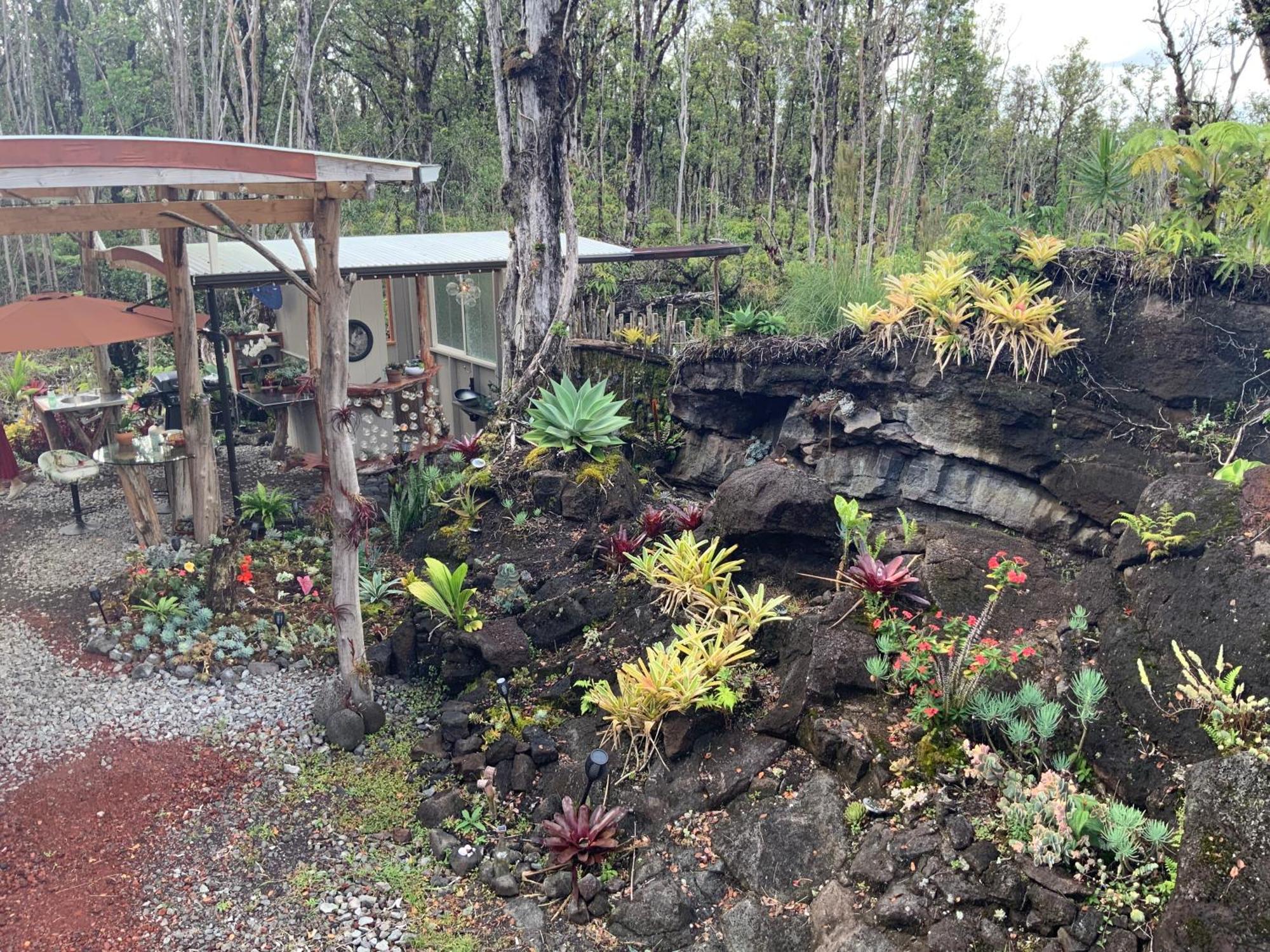 Exotic Garden At Amazing Volcano Fissure Landhaus