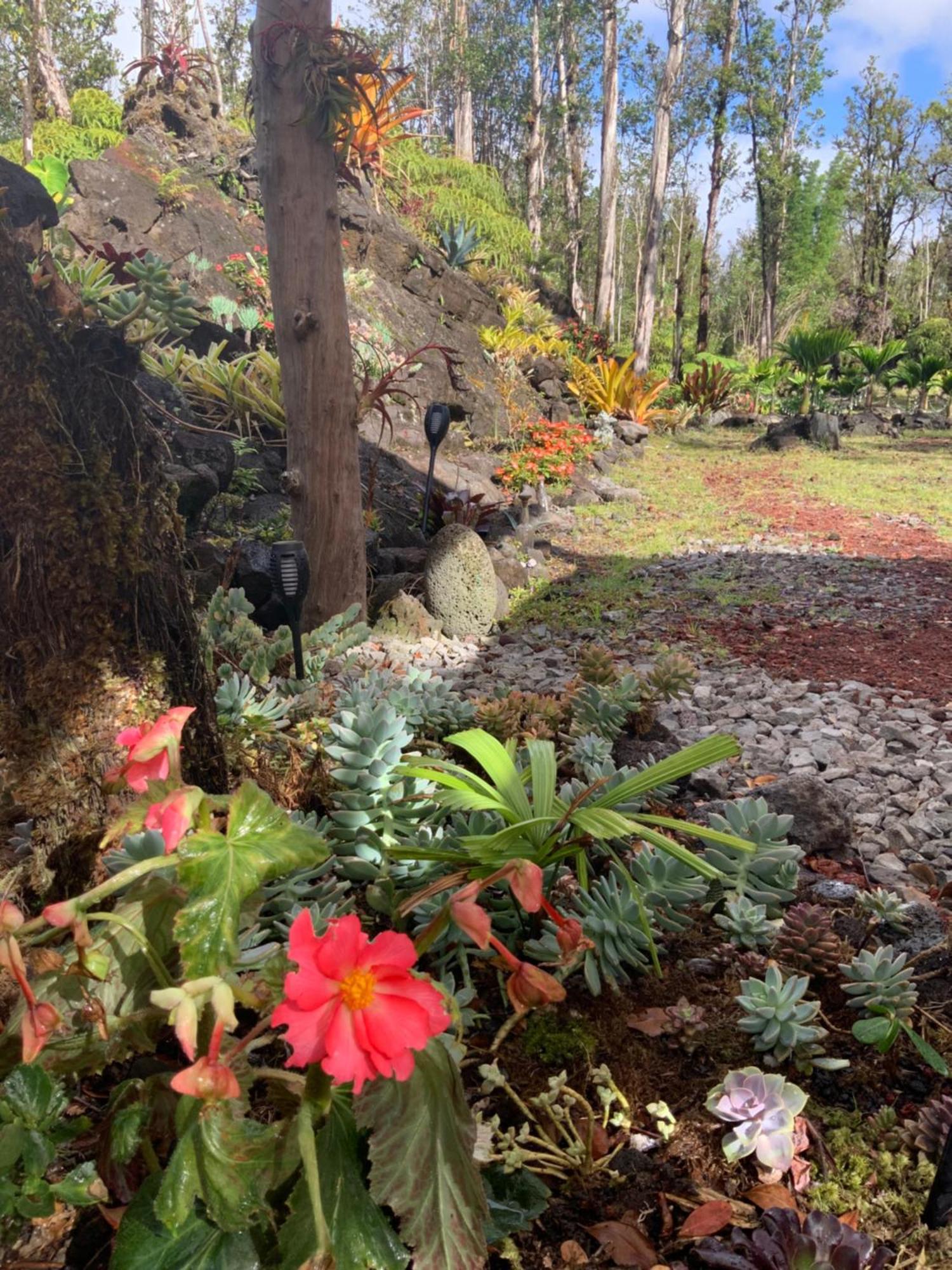 Exotic Garden At Amazing Volcano Fissure Landhaus *
