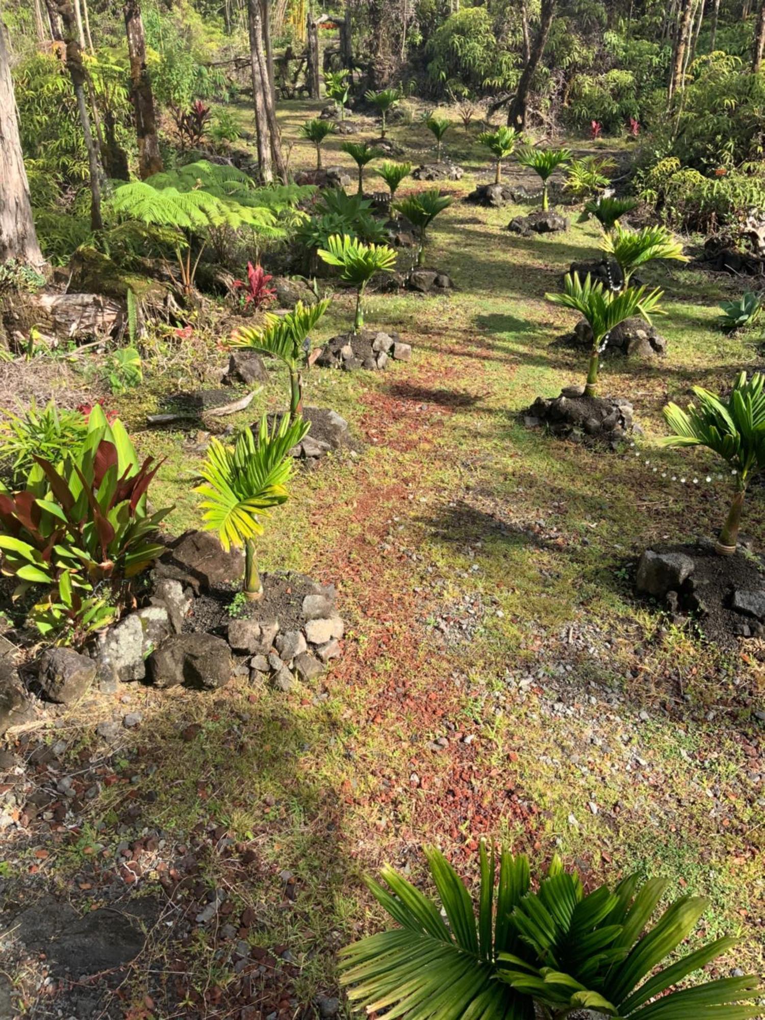 Exotic Garden At Amazing Volcano Fissure Landhaus Mountain View