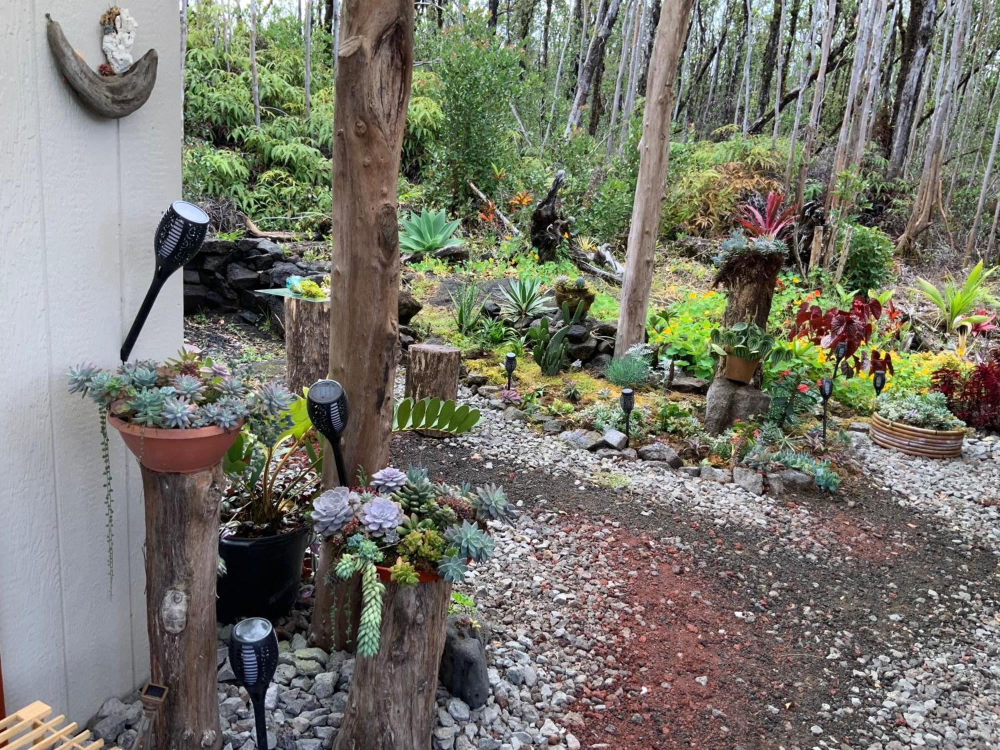 Exotic Garden At Amazing Volcano Fissure Landhaus