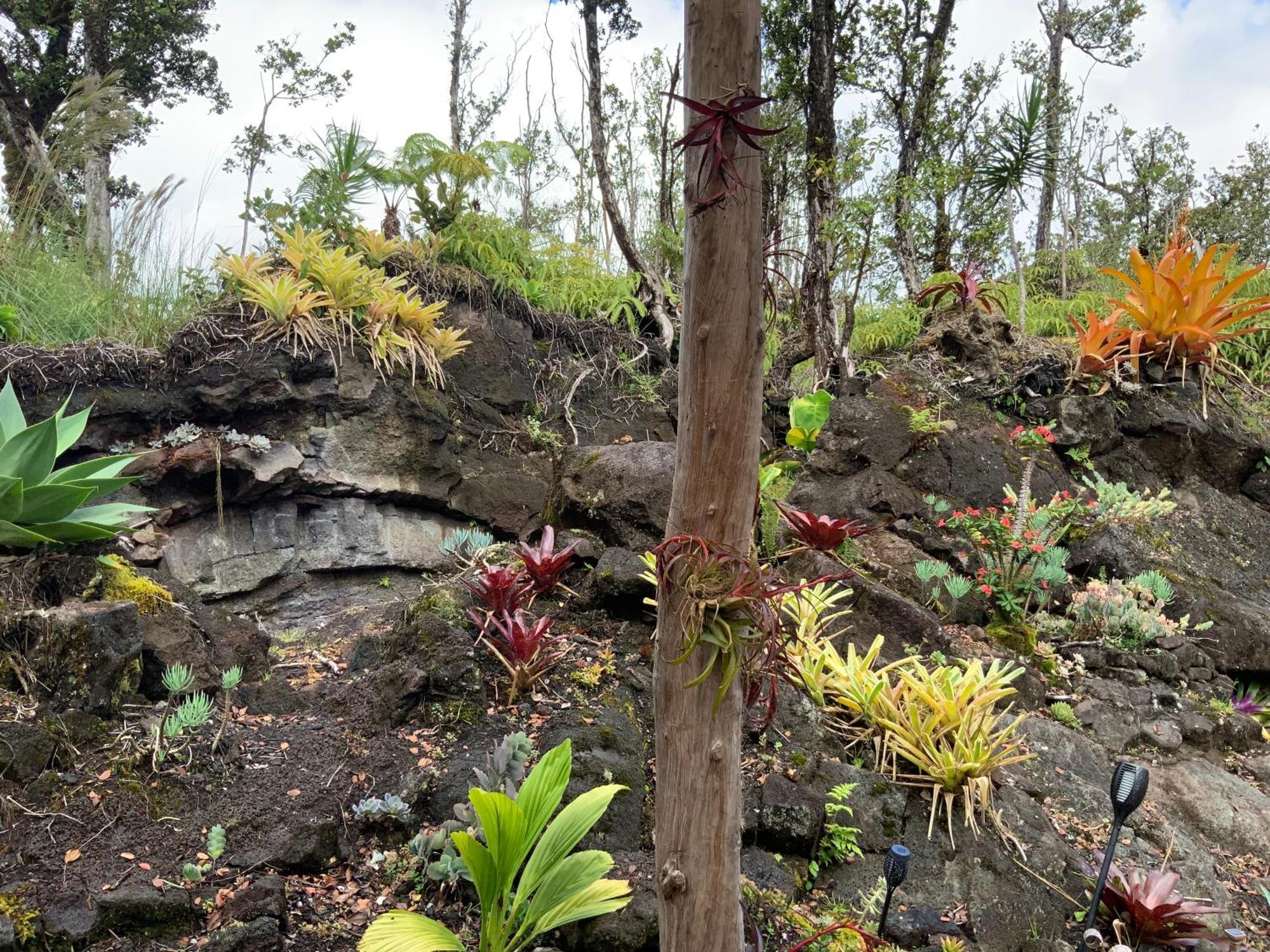 Exotic Garden At Amazing Volcano Fissure Landhaus