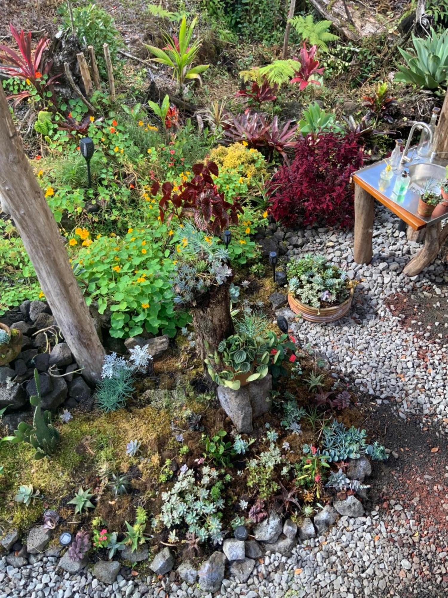 Exotic Garden At Amazing Volcano Fissure Mountain View