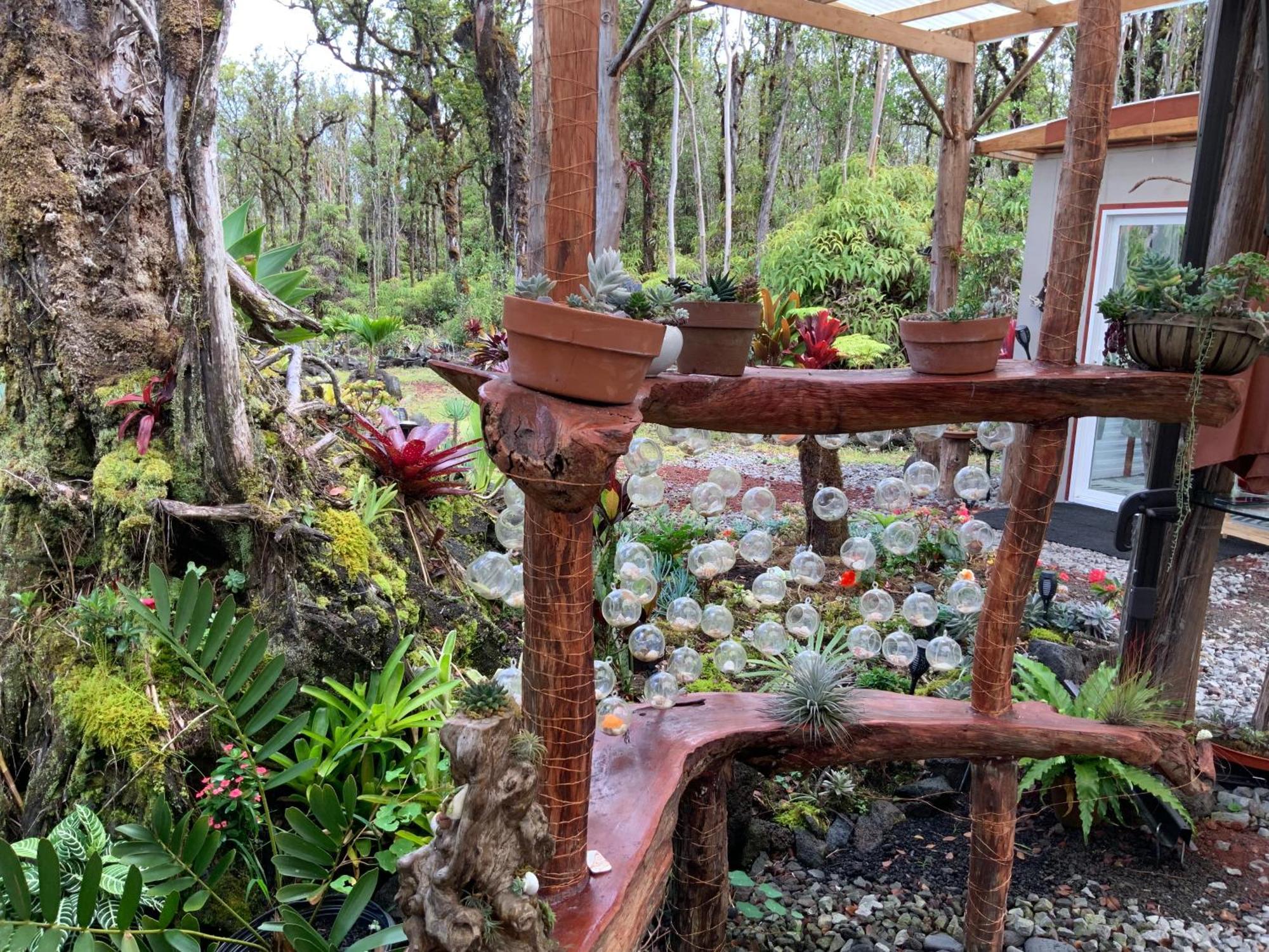 Landhaus Exotic Garden At Amazing Volcano Fissure *