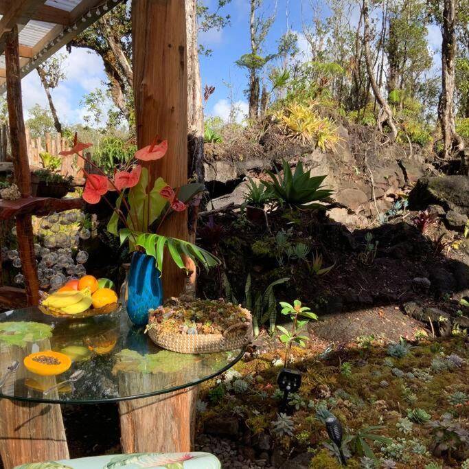 Exotic Garden At Amazing Volcano Fissure