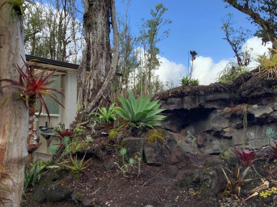 Landhaus Exotic Garden At Amazing Volcano Fissure