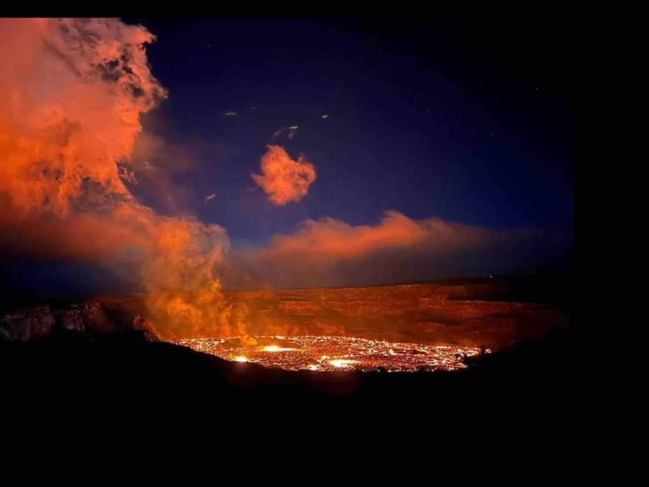 Exotic Garden At Amazing Volcano Fissure Landhaus Mountain View