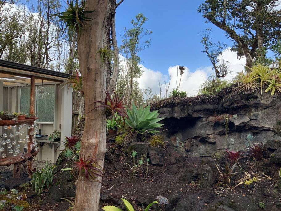 Exotic Garden At Amazing Volcano Fissure Landhaus Mountain View