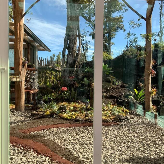 Exotic Garden At Amazing Volcano Fissure
