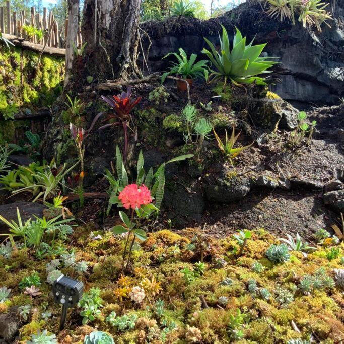 Landhaus Exotic Garden At Amazing Volcano Fissure *
