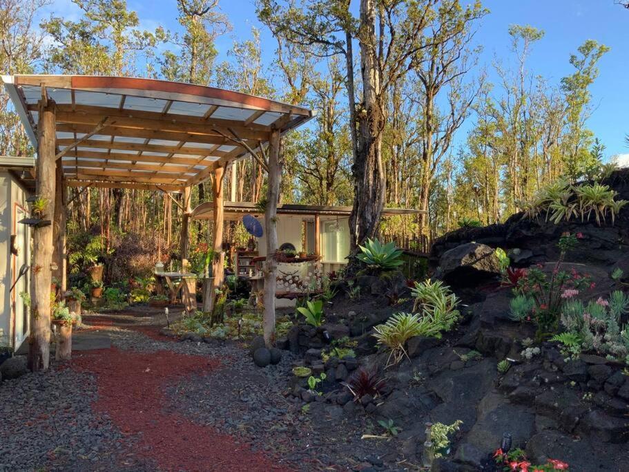 Exotic Garden At Amazing Volcano Fissure *