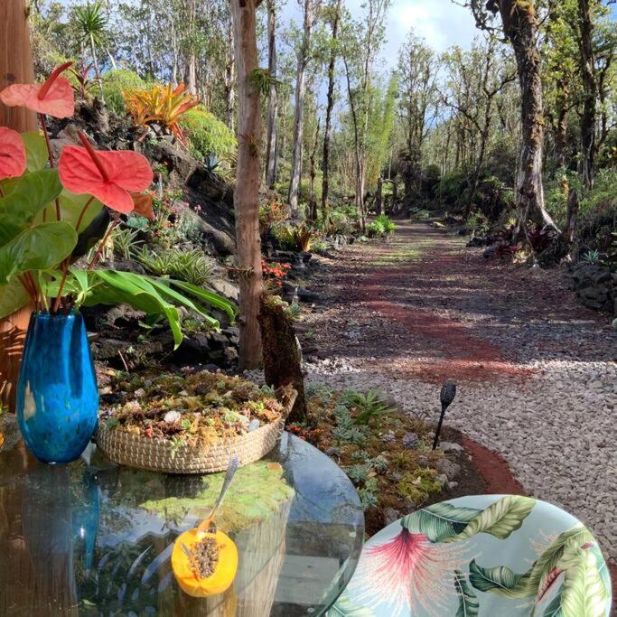 Exotic Garden At Amazing Volcano Fissure Landhaus *