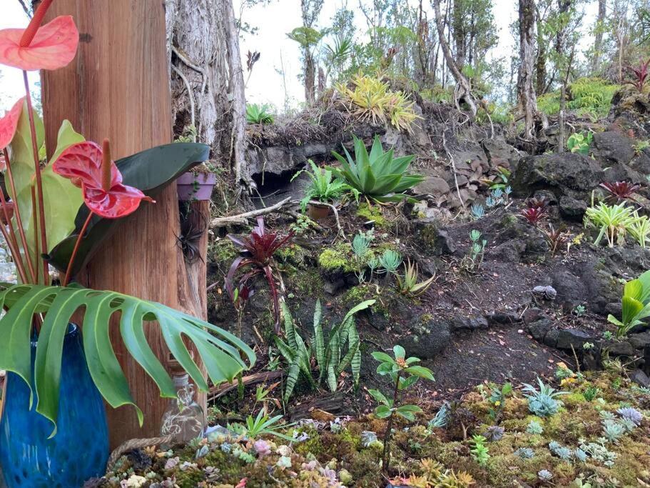 Exotic Garden At Amazing Volcano Fissure Landhaus Mountain View