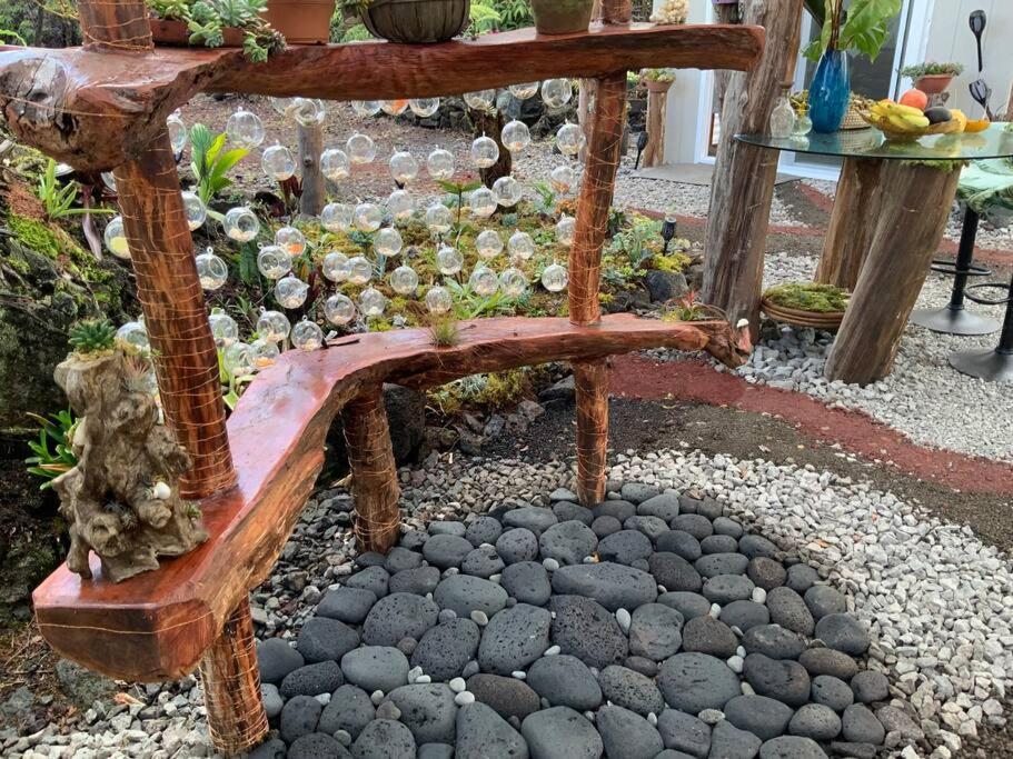 Exotic Garden At Amazing Volcano Fissure Landhaus