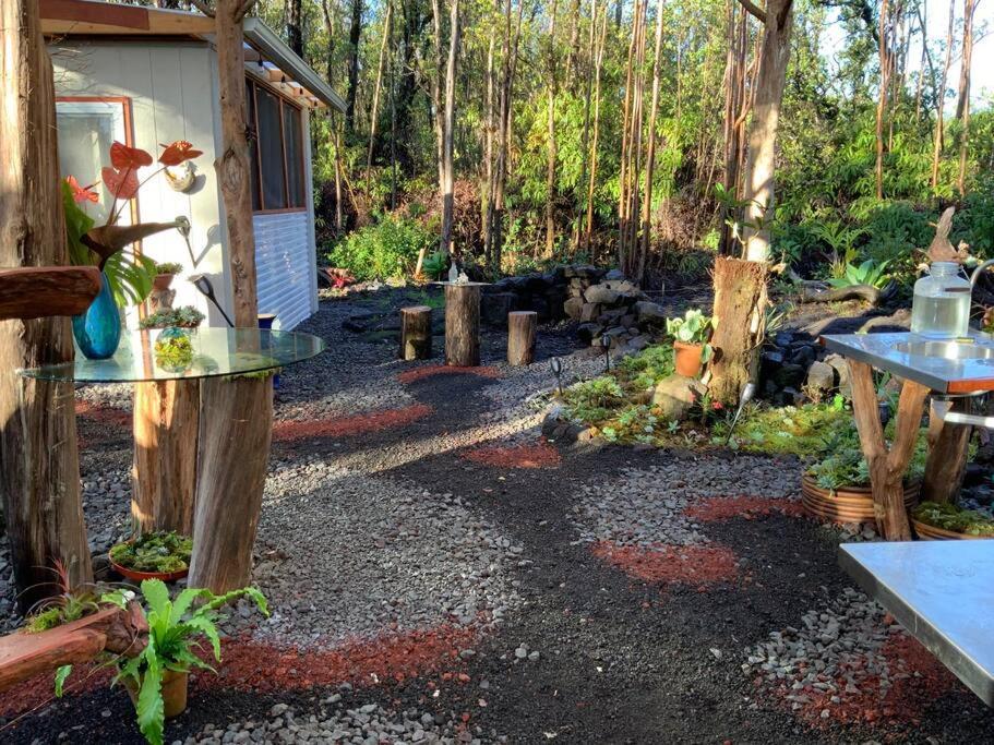 Landhaus Exotic Garden At Amazing Volcano Fissure Mountain View