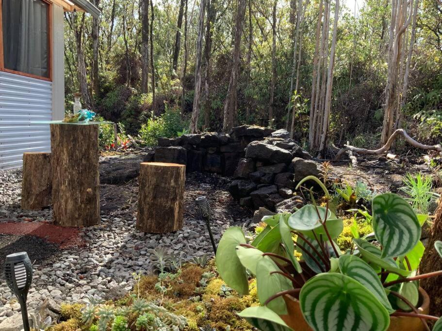 Exotic Garden At Amazing Volcano Fissure * Mountain View