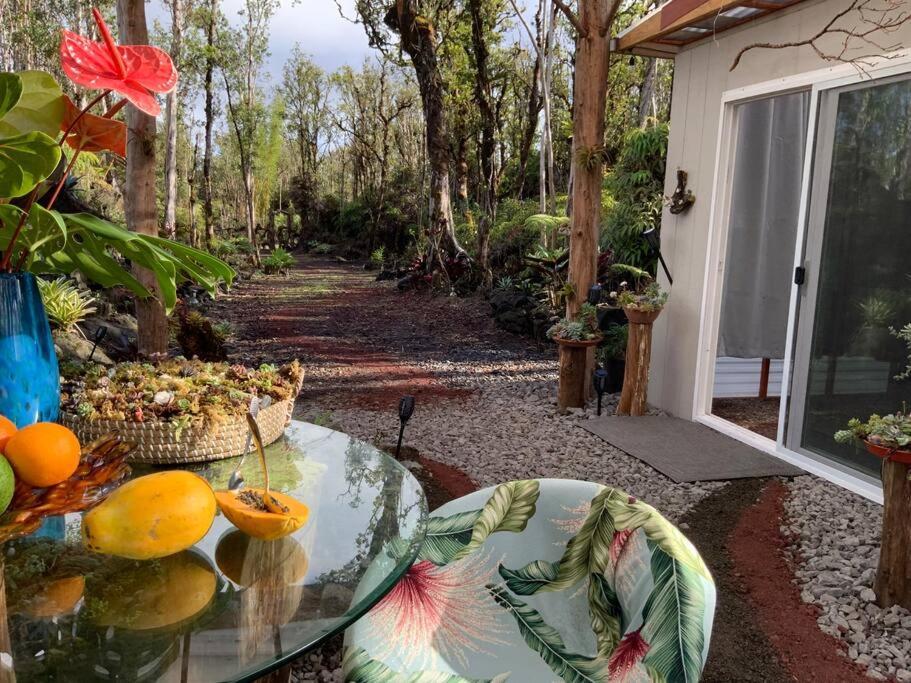 Exotic Garden At Amazing Volcano Fissure Landhaus Mountain View