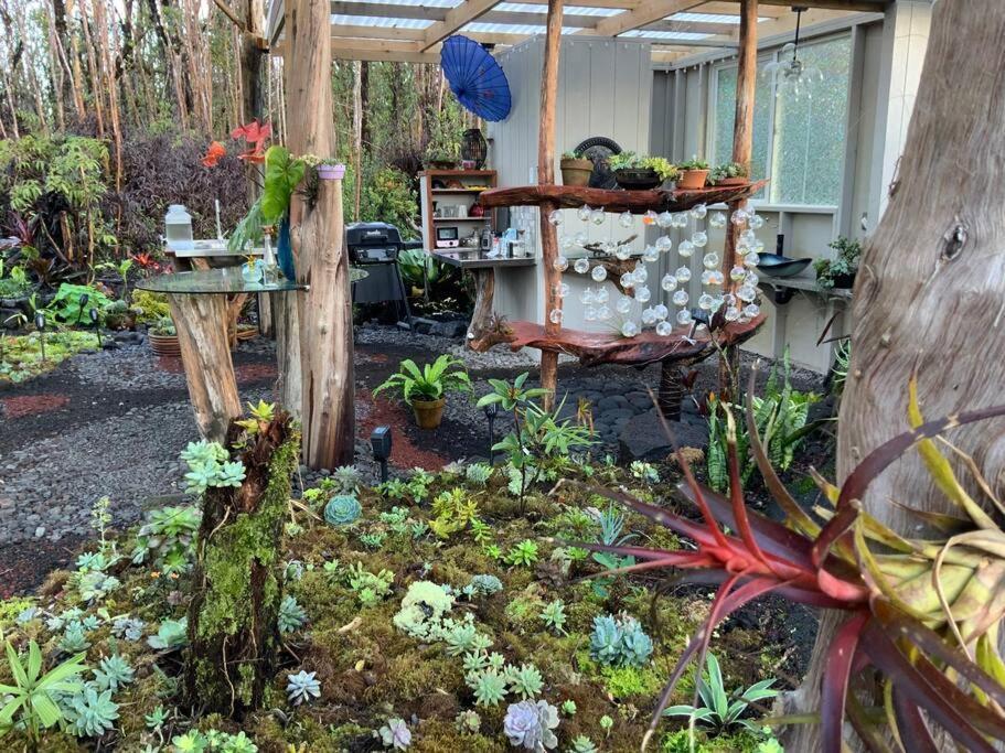 Exotic Garden At Amazing Volcano Fissure Mountain View