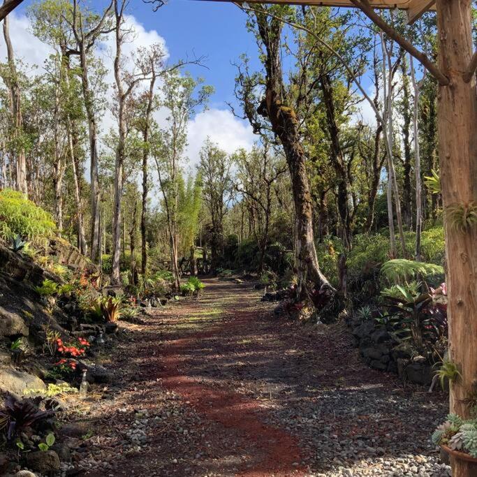 Landhaus Exotic Garden At Amazing Volcano Fissure