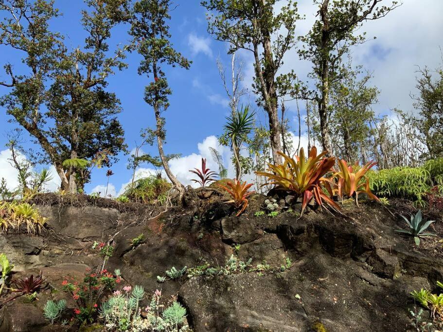 Landhaus Exotic Garden At Amazing Volcano Fissure *