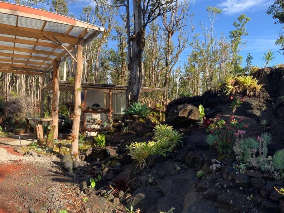 Exotic Garden At Amazing Volcano Fissure