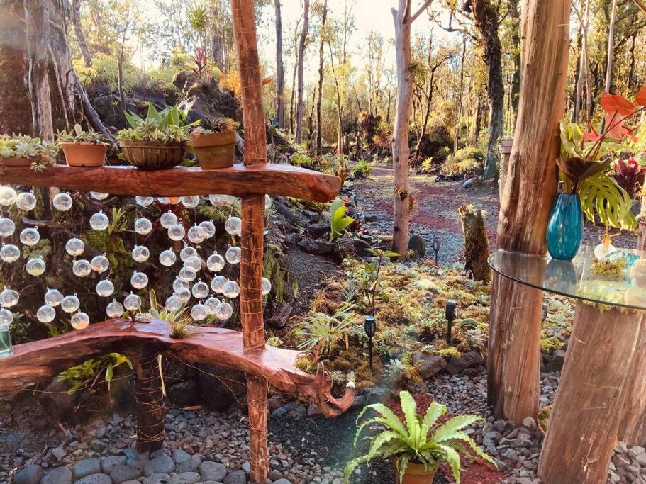 Exotic Garden At Amazing Volcano Fissure * Mountain View