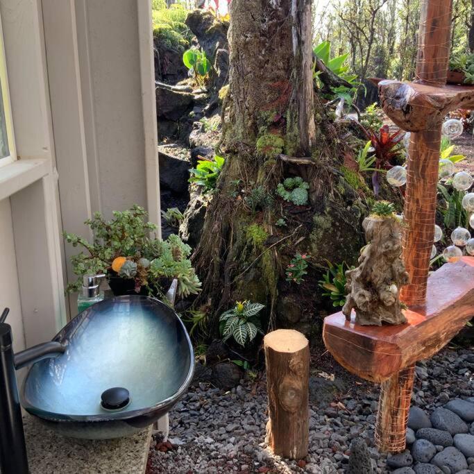 Exotic Garden At Amazing Volcano Fissure Mountain View