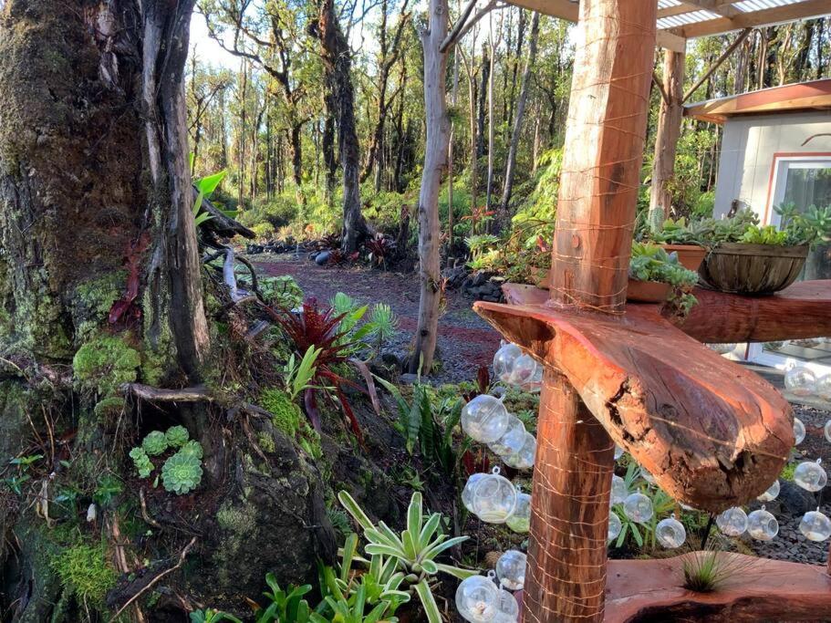 Landhaus Exotic Garden At Amazing Volcano Fissure Mountain View