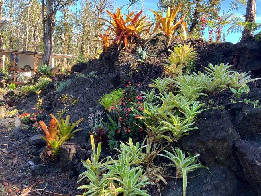 Exotic Garden At Amazing Volcano Fissure Landhaus