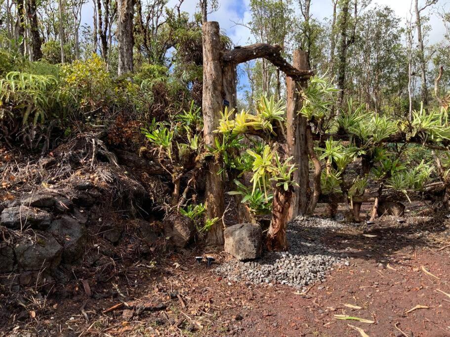 Exotic Garden At Amazing Volcano Fissure Landhaus *