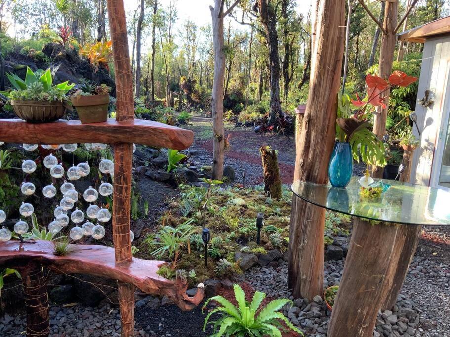 Exotic Garden At Amazing Volcano Fissure Landhaus