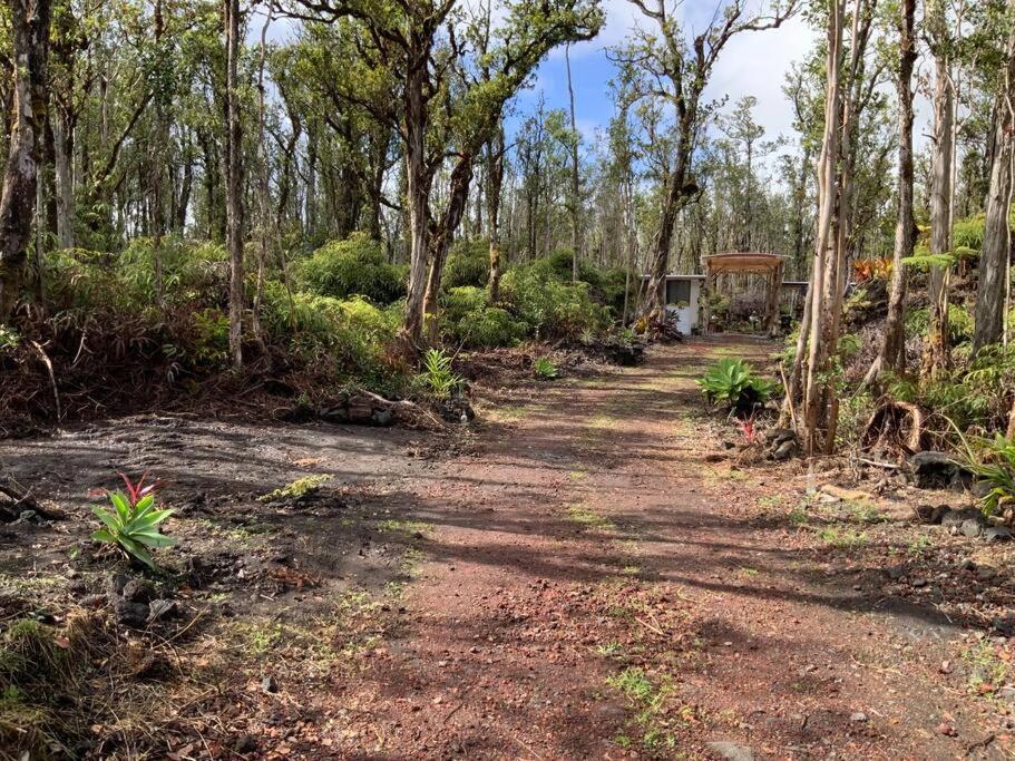 Exotic Garden At Amazing Volcano Fissure Landhaus